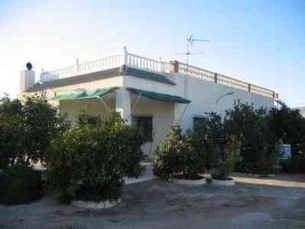 Crevillente Crevillente